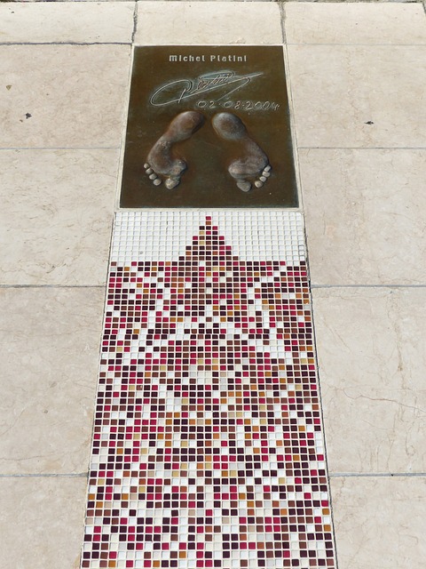 体表现很可 体表现很可