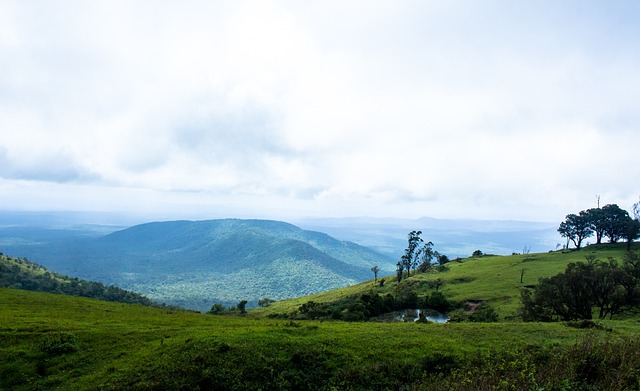 建立了一种 建立了一种