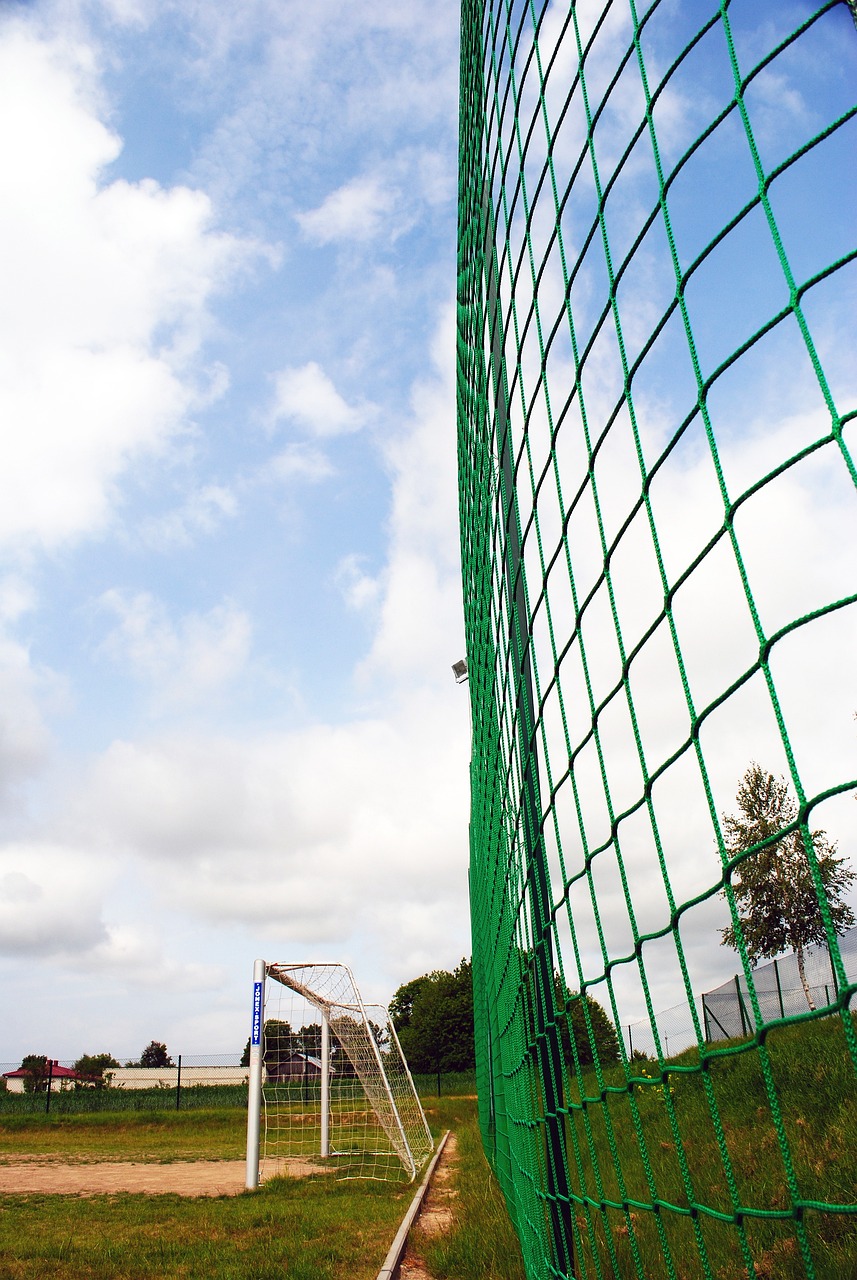 在朝着顶级 在朝着顶级