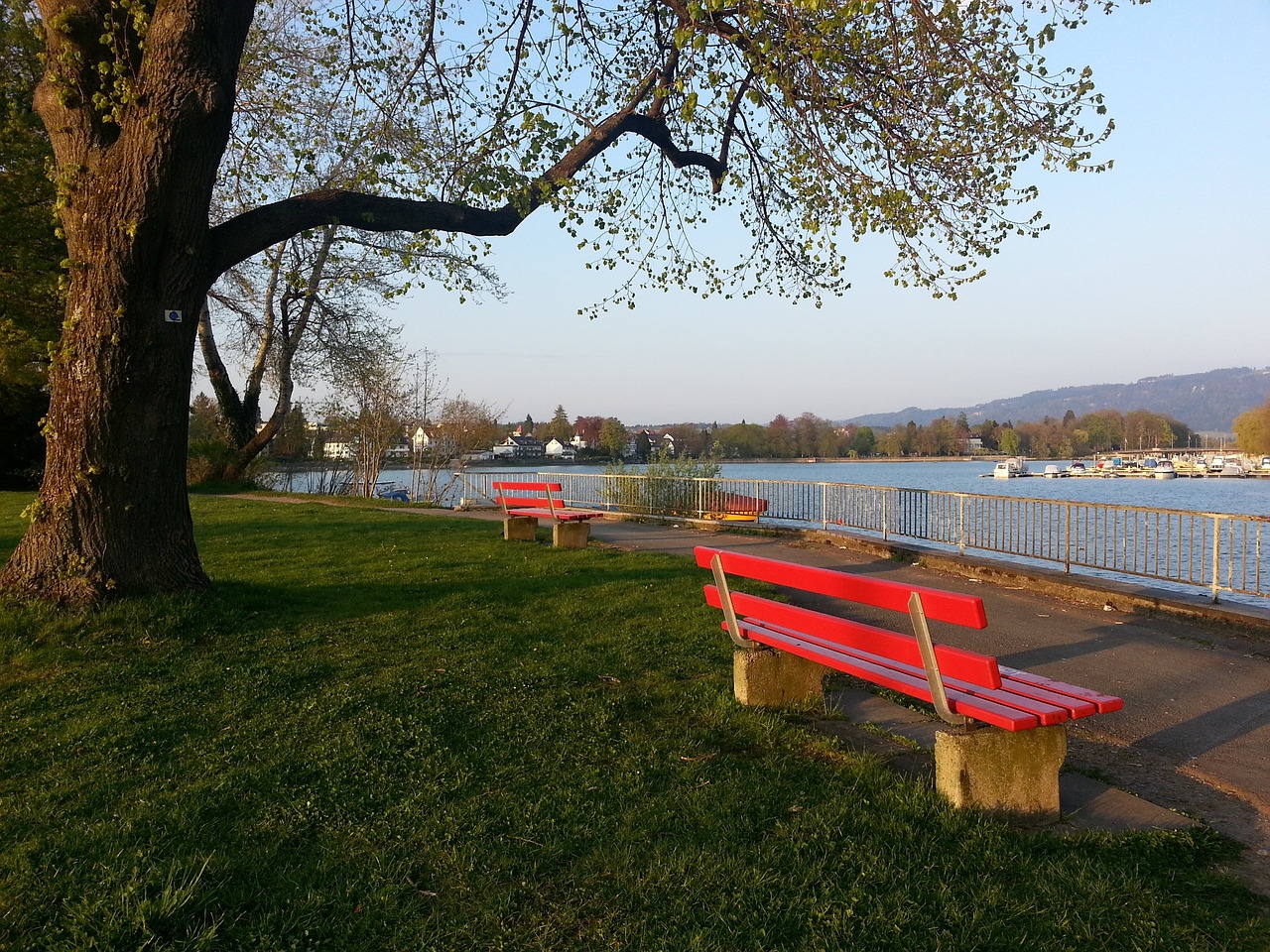 京多安一蹴 京多安一蹴