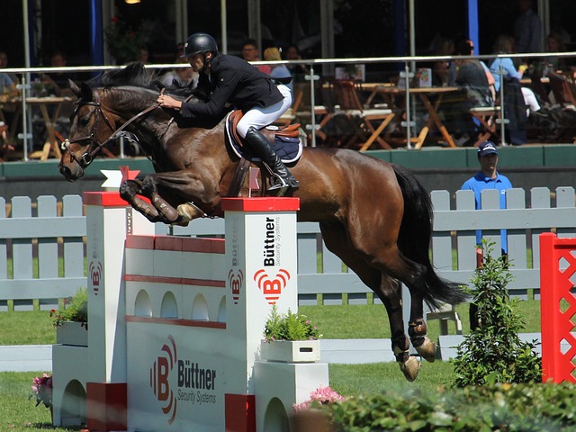 还必须为主 还必须为主