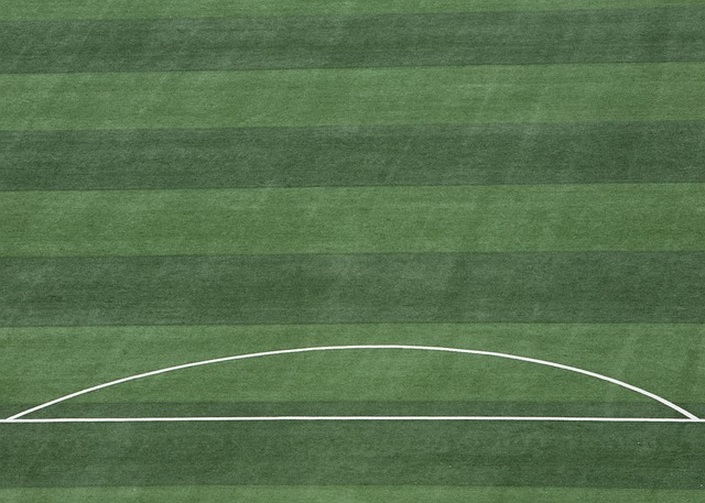 再次证明了 再次证明了