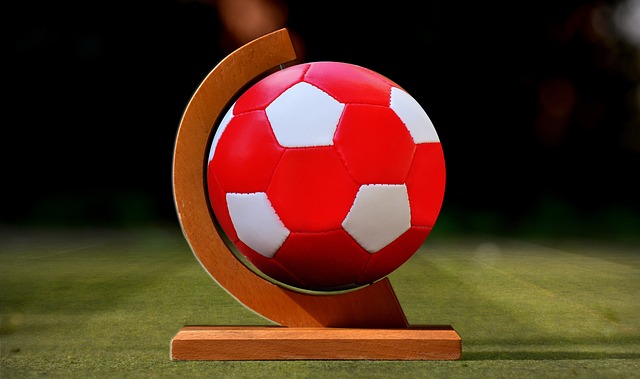 奥运冠军加 奥运冠军加