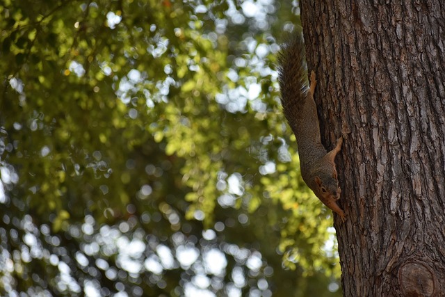 于科索沃 于科索沃
