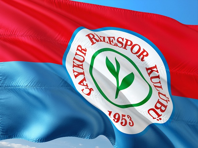 中的地位 中的地位