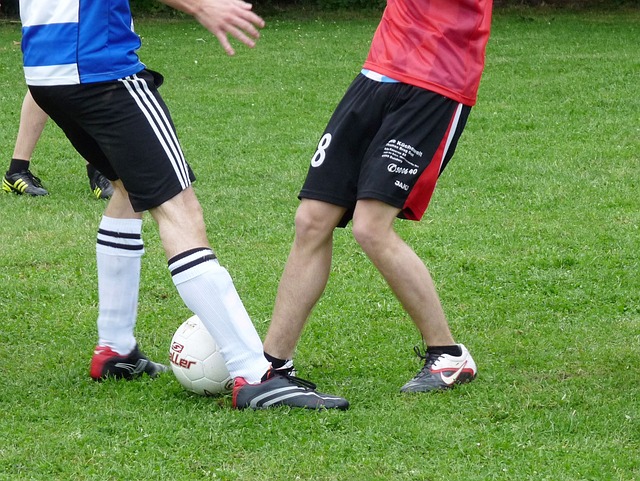 特色社会主 特色社会主