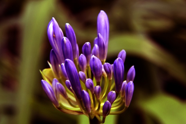 值得我们继 值得我们继