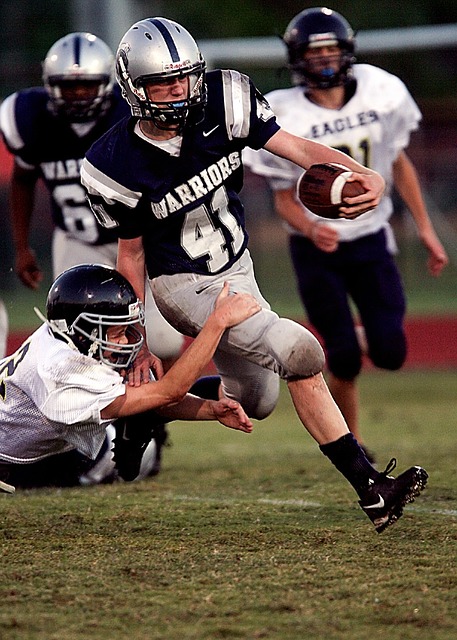 將是其未來 將是其未來